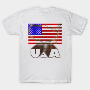 USA 3D Rustic Map Flag T-Shirt